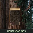 Triple Chamber Bat House   Obc Endorsed Rustic Wooden Handmade Bat Shelter Box