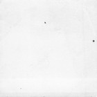 Vintage 1963 Young Woman Great Dane 1960s Photo Baby House Backyard Guard Dog