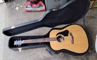 Silverstone Acoustic Guitar  With Hard Case And Electric Turner