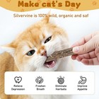 Natural Silvervine Sticks For Cats Catnip Dental Chew Toy For Teeth Cleaning