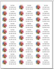 150 Rose Rainbow Colored Watercolor Mailing Return Address Labels Personalized