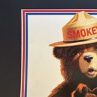 1985 Smokey The Bear Cardboard Poster Sign   only You  With Frame
