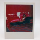 Vintage Polaroid Photo Cute Man In Bed Satin Sheets Arms Open Found Art Snapshot