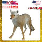 New Realistic Lone Howler Coyote Predator Decoy Heavy-duty Hunting Outdoor Usa