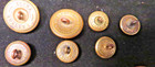 14 Civil War Uniform Buttons Coat   Cuff Sizes