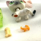 Littlest Pet Shop Lps  125 Gray Shorthair Cat Green Eyes W Accessories Authentic