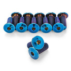 Burnt Blue Ultra-low Profile Superlight Titanium Bottle Cage Bolts By Terske