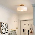 Nordic Vintage Ceiling Light Fixture Denmark Mid Century Modern Nostalgia Semi F