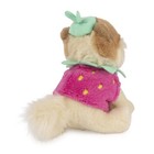 Gund Boo  The World   s Cutest Dog Strawberry Plush