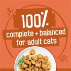 Purina Friskies 5 5 Oz Canned Wet Cat Food - Chicken And Turkey Variety Pack  40