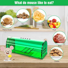 4pack Humane Mouse Traps Live Catch   Release No Kill Rat Mice Trap Reusable