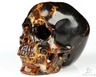 4 3  Copal Hand Carved Crystal Skull  Super Realistic  Crystal Healing