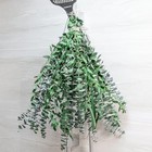 3kinds Natural Eucalyptus Stems 24pcs - 17inch Eucalyptus Set For 24pcs-17inch