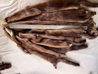 7 Gorgeous Deep Brown Mink Pelts 