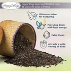 Happy Wings Nyjer thistle Seeds Wild Bird Food Prefilled Sock Pack Of 2 X 13 Oz