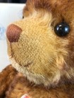 2015 Steiff Teddy Bear Little Tom Brown Tipped 56cm 418 750   Box   Coa 021046