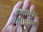 Western Diamondback Rattlesnake Rattles - 10 Segments - Matched Pair