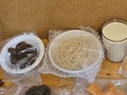 Nasco Life form Food Replica Lot 25 Pc Nutrition Training Guaranteed