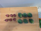 Vintage Faux Fake Artificial Decorative Sugared Cherries Limes Christmas Crafts