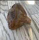 Dried Pods Eucalyptus Foraged Potpourri Crafts Terrarium Reptile 107 1 4    To 2   