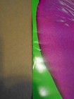 Rare Promo Beck Poster Midnite Vultures 1999 Jellyfish Ima Robot Nin 18  X 18 
