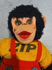 15  Zip The Monkey   Chimp Rubber Face Plush Doll By Rushton Co 