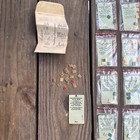 Huge Lot Of Vintage Anson Brand Gold Tone Initials For Jewelry Watches Signets