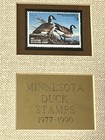 Framed Minnesota Migratory Waterfowl Stamps 1977-1990 Mn Dnr Duck Set Lot Of 14