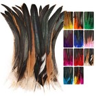Colorful Rooster Tail Feathers-50pc 10-12inch Natural Long Natural 