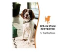 Nature s Miracle Oxy Formula Set-in Stain Destroyer Dog Odor Control Remover