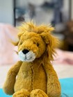 Jellycat London Original Bashful Lion Medium 14  Plush Authentic Ntw W Dustbag 