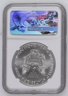 2017 Bullion Silver Eagles Ngc Ms-70 First Day Of Issue