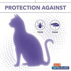 Hartz Ultraguard Flea   Tick Collar For Cats   Kittens - 7 Months Protection