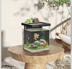1 5 Gallon Betta Fish Tank Aquarium Kit With Filter Led Light Water Pump  Square