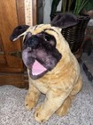 Melissa And Doug Pug Stuffed Dog Lifelike Animal Plush Toy Approx 16    Tan Brown