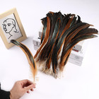 Holmgren Natural Long Rooster Tail Feathers For Diy Crafts  60pcs 12-14inch