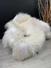 Xl Genuine White Brown Icelandic Sheepskin Rug Chair Throw Gift Pet Bed Decor