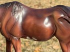Breyer  1324 Sabino Color Crazy Treasure Hunt Susecion And Le Fire Mare Only