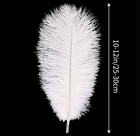 White Ostrich Feathers 24pcs Natural Bulk 10-12inch 25cm-30cm For Crafts Wedd   