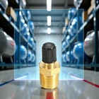 1 4  Npt Brass Tank Valve Anti-corrosion Air Compressor Part 1 Piece Gold