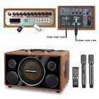 800w All-in-one Bluetooth Karaoke System W  Mics