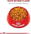 Royal Canin Feline Urinary Care Adult Dry Cat Food  14 Lbs