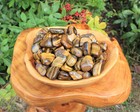 2 Medium Tiger Eye Tumbled Stones  crystal Healing Chakra Reiki Gemstone 