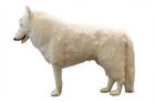Hansa Arctic Wolf Standing 108 Bh4444 New Realistic Plush Animals From Japan
