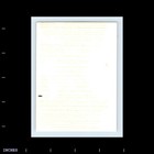 Vintage Photo Man And Woman In Yard 1954