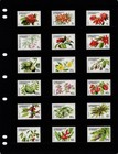  14 95 Scott Value - 1981 Dominica Flowers Definitives Plants Cv Mnh Nh Umm