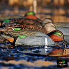 Avery Outdoors Greenhead Gear Ghg Pro Grade Green Winged Teal Duck Decoys