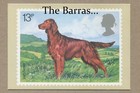 Uk Royal Post 1979 British Dogs  4 Cards Set  phq 33  a-d  Postcards