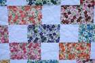 Pre-cut Prairie  Quilt Kit  Fabric  Pattern  Binding  Backing Included