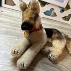 Vintage Steiff Arco German Shepherd Dog 1950s Mohair With Tag